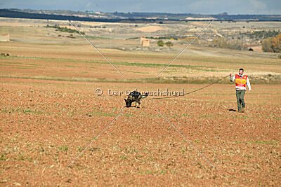 Meiko des Orckis de l`Adret